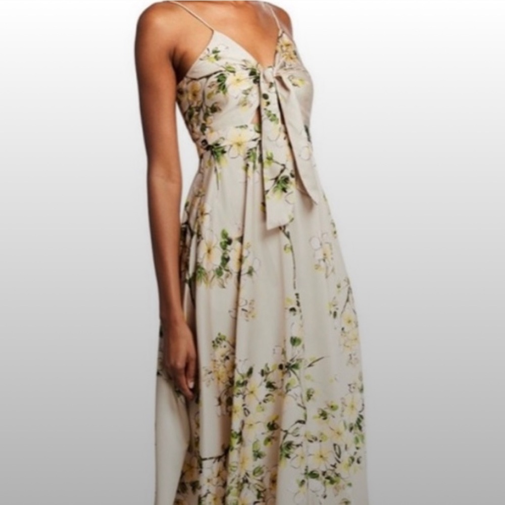Jay Godfrey Dress
